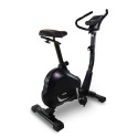 Bicicleta Estática BH Artic DUAL